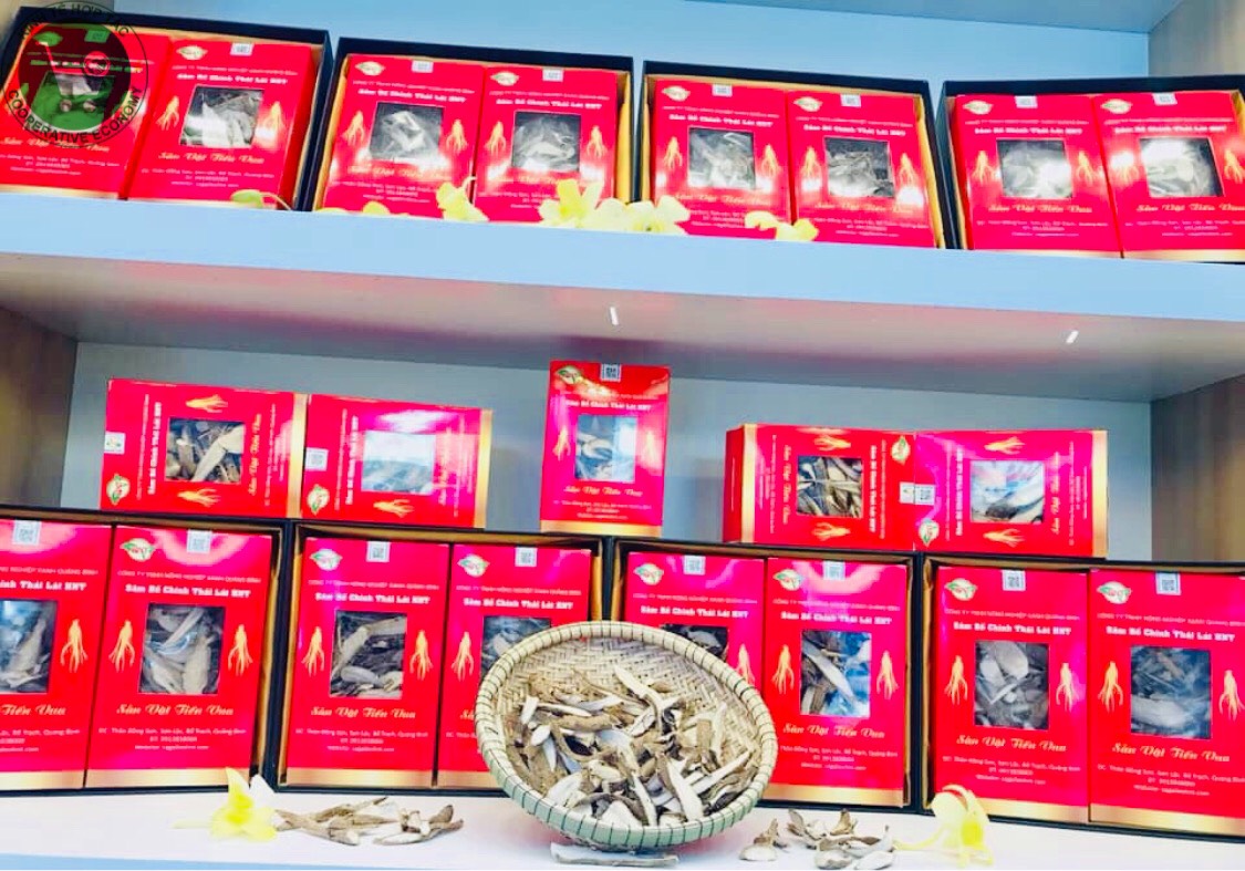 Ảnh của Sâm khô thái lát nhỏ (hộp/ 0.3kg)