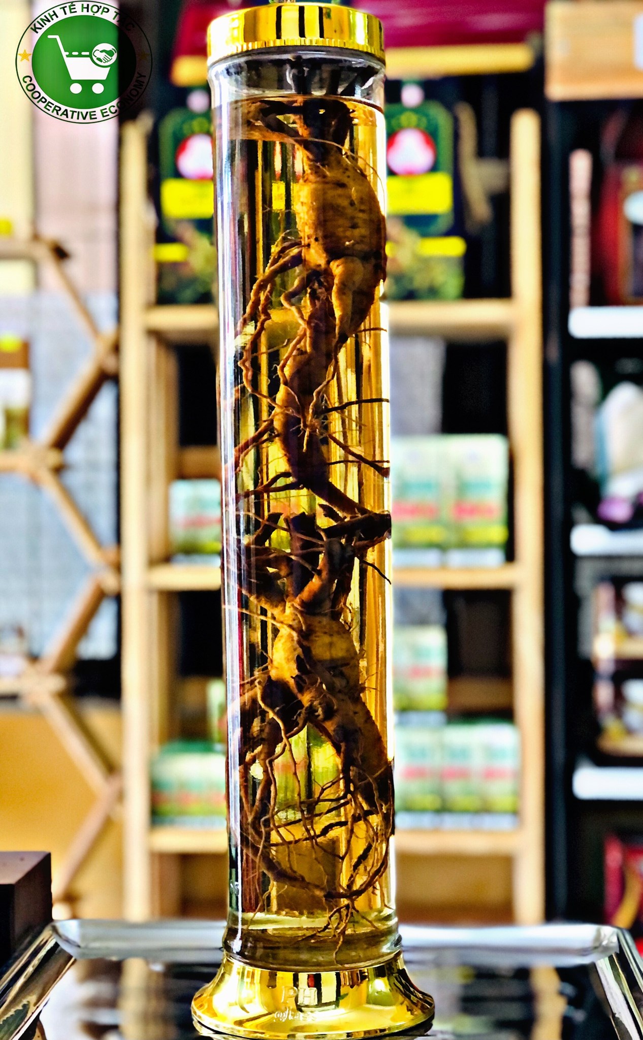 Ảnh của Rượu sâm bố chính (bình - 2.28 l)