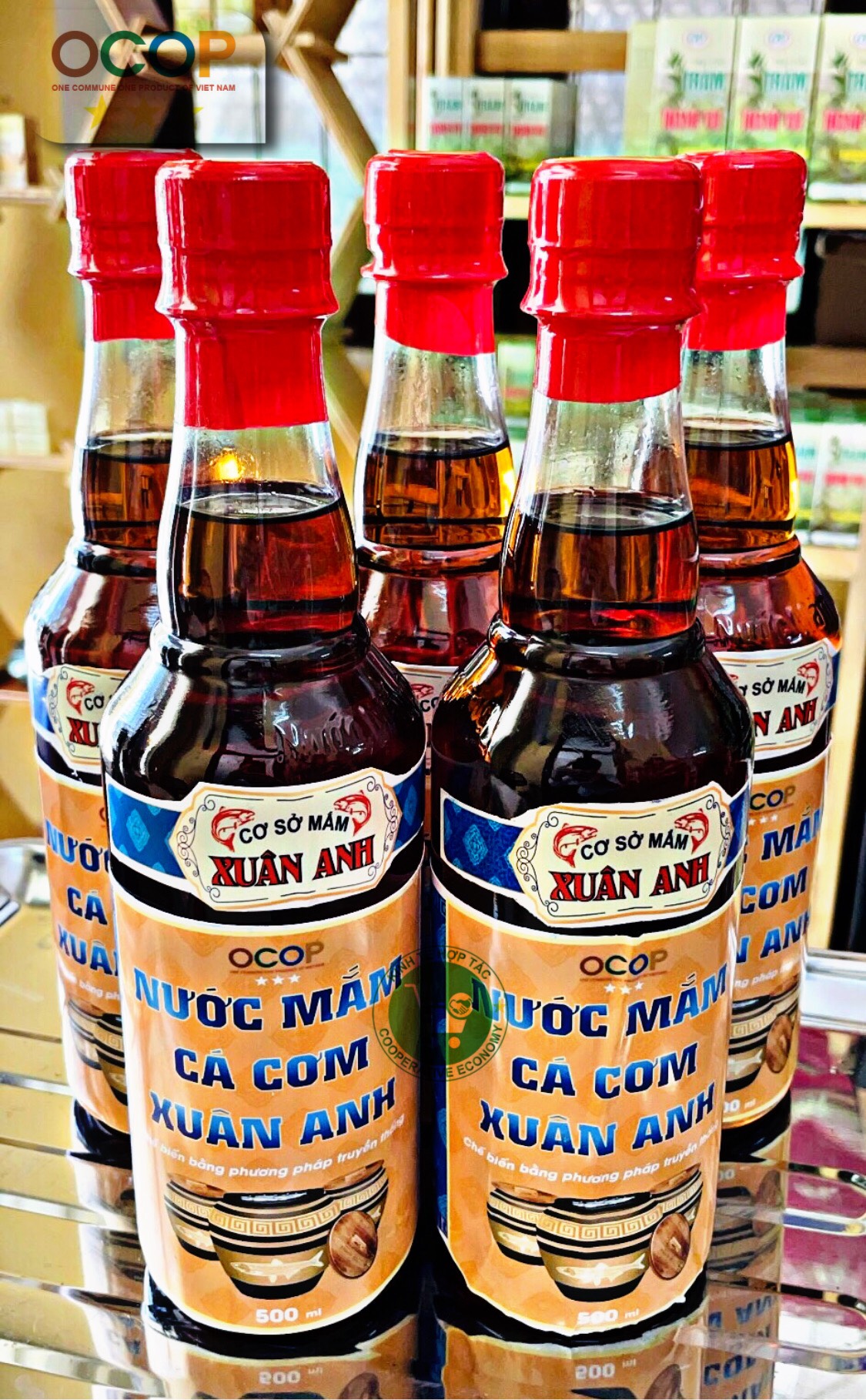 Picture of Xuan Anh Anchovy Fish Sauce (Plastic bottle /500ml)