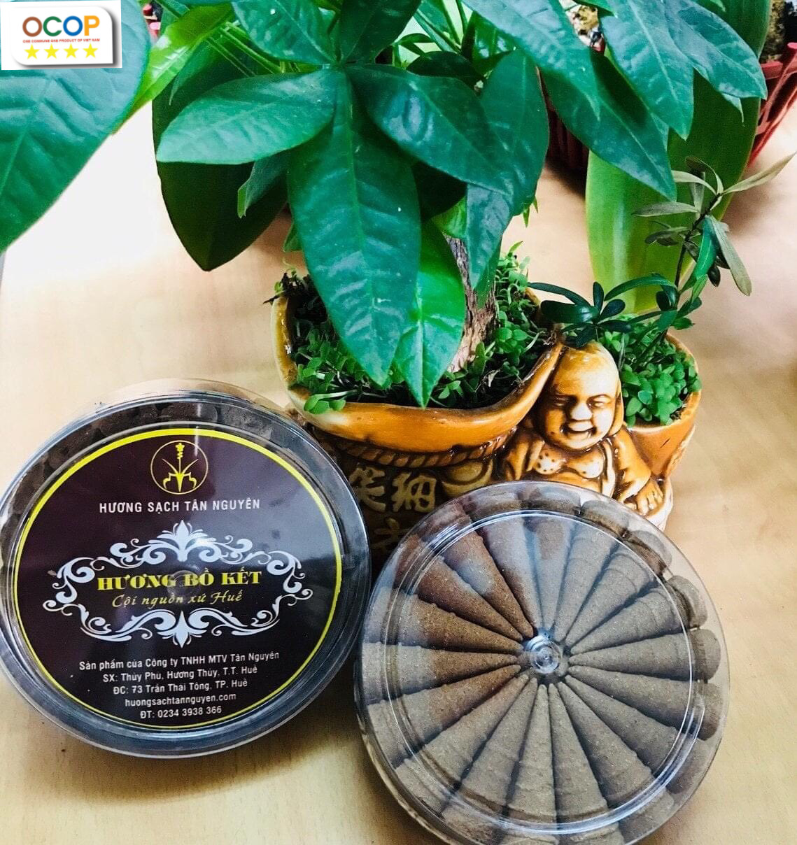 Ảnh của Nụ Bồ Kết KT45C