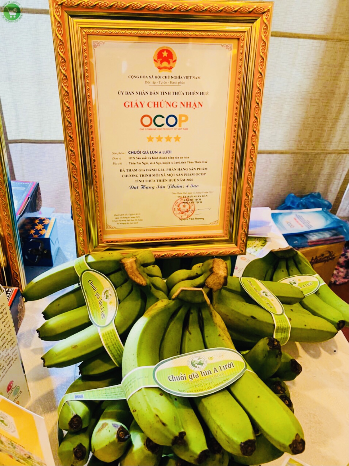 Ảnh của Chuối già lùn A Lưới (kg)