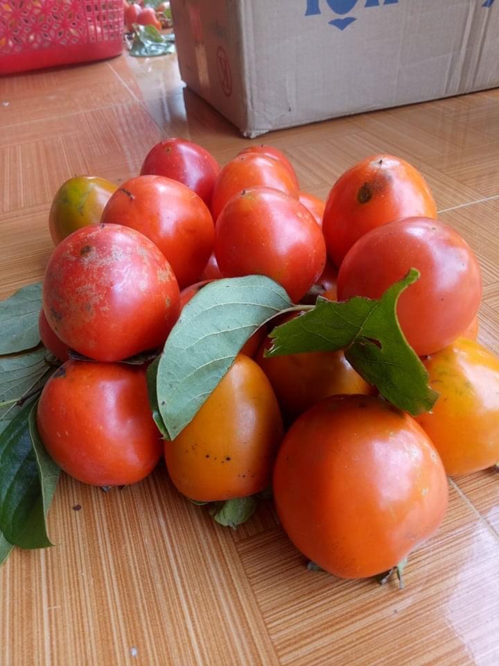 Ảnh của Hồng A lưới (kg)