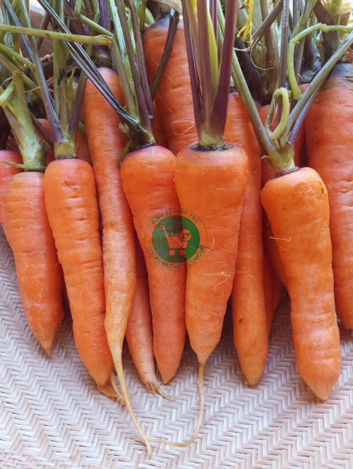 Ảnh của Cà Rốt Đà Lạt (lạng)