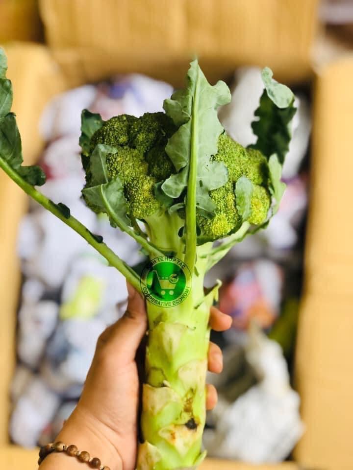 Picture of Súp Lơ Xanh Đà Lạt (lạng)