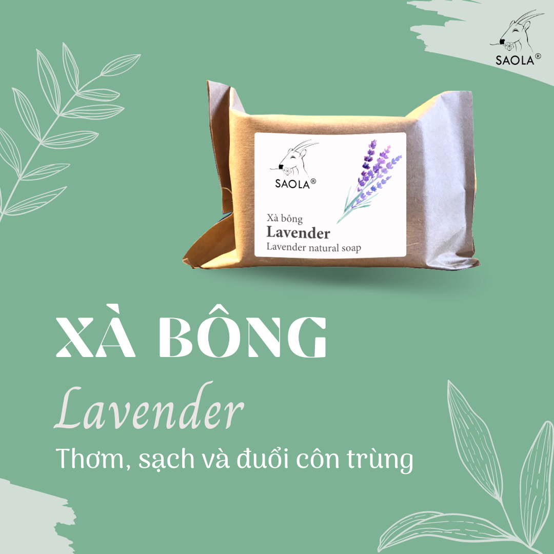Ảnh của Xà bông Lavender Sao La