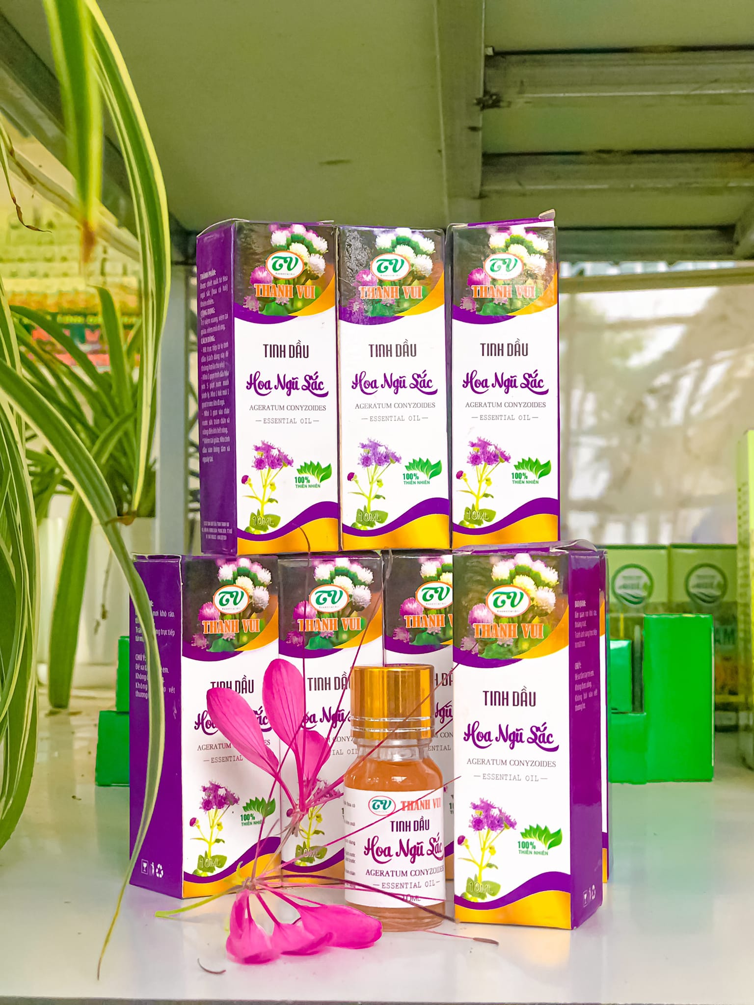 Ảnh của Tinh Dầu Hoa Ngũ Sắc Thanh Vui (10ml)