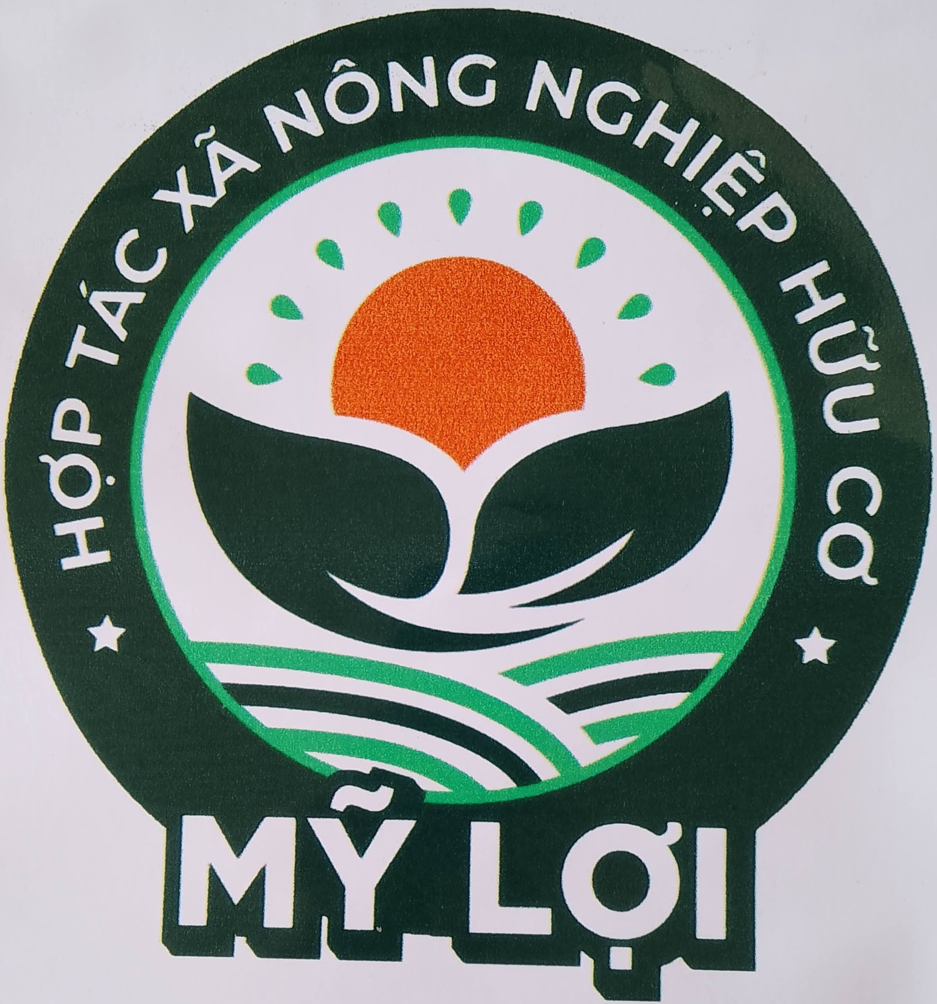 Hình ảnh cho nhà sản xuất HTX Nông Nghiệp Hữu Cơ Mỹ Lợi