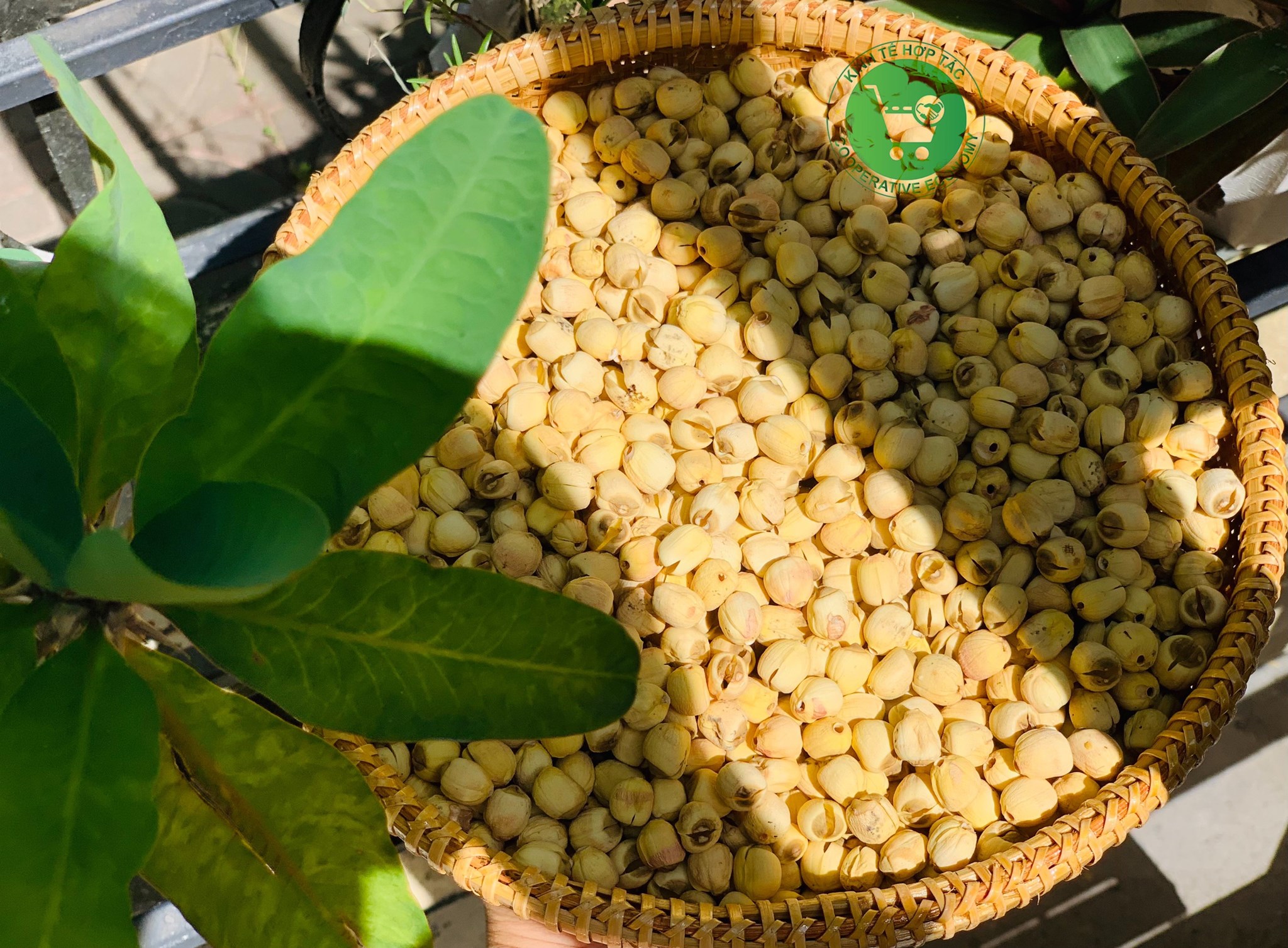 Ảnh của Hạt Sen sấy khô (kg)