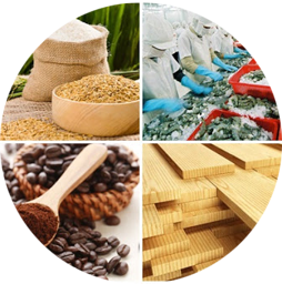 Ảnh cho danh mục Nông-Lâm-Thuỷ sản