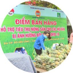 Ảnh cho danh mục Tiêu thụ Nông sản