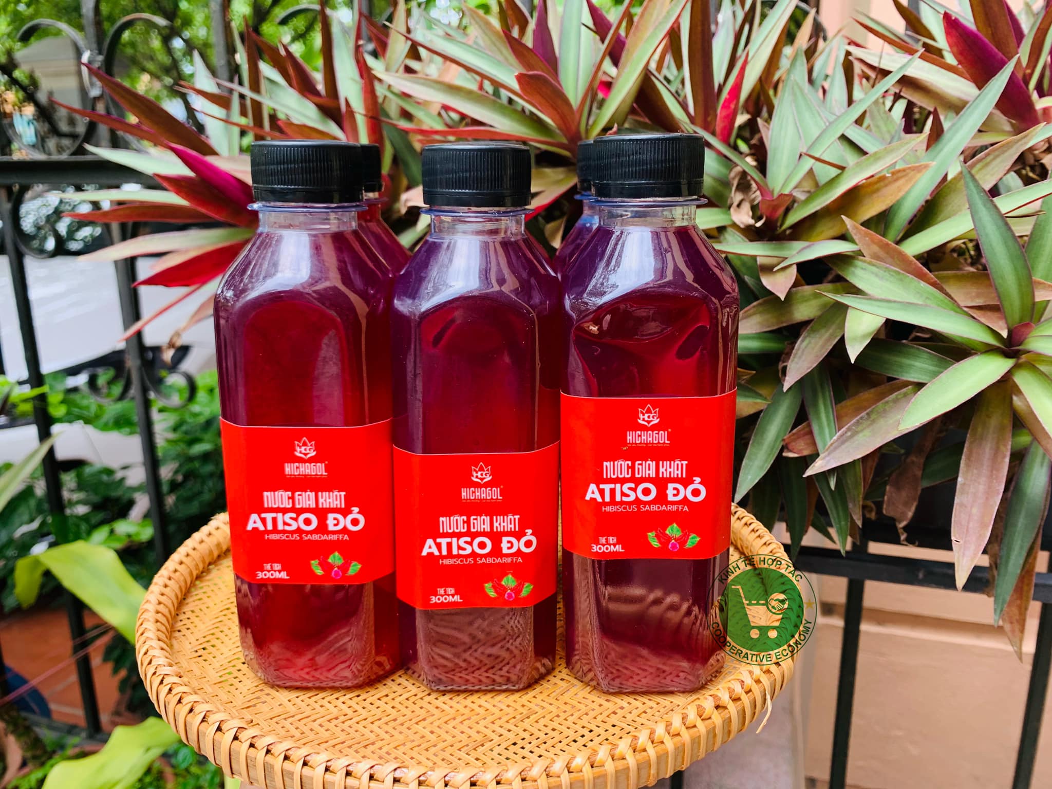 Ảnh của Nước giải khát hoa Atiso đỏ (chai)