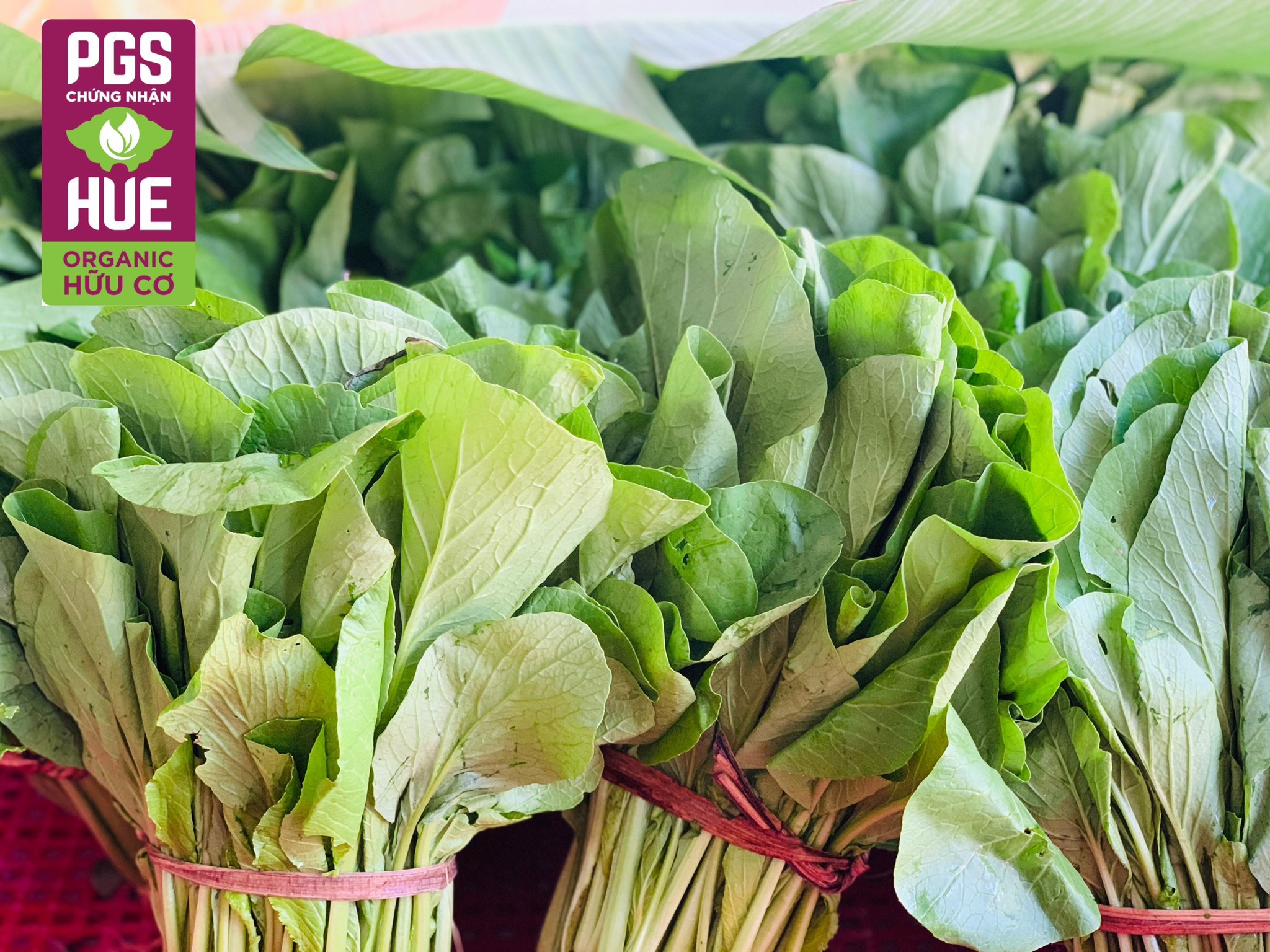 Ảnh của Rau cải ngọt hữu cơ Mỹ Lợi (kg)