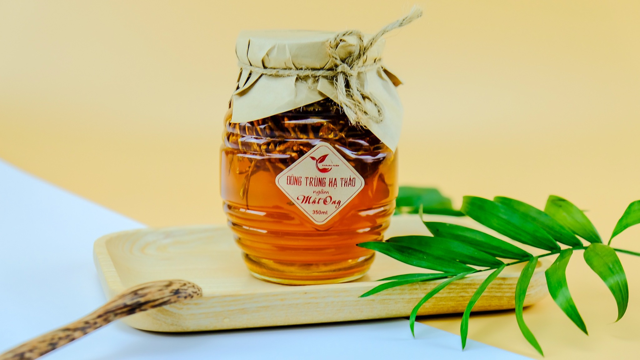 Ảnh của Đông Trùng Hạ Thảo ngâm mật ong (350ml)