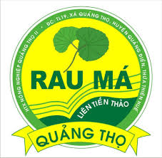 Hình ảnh cho nhà sản xuất HTX NN Quảng Thọ II