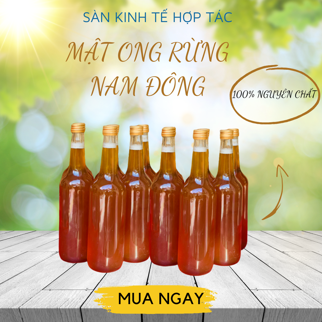 Ảnh của Mật Ong rừng Nam Đông nguyên chất (650ml) 