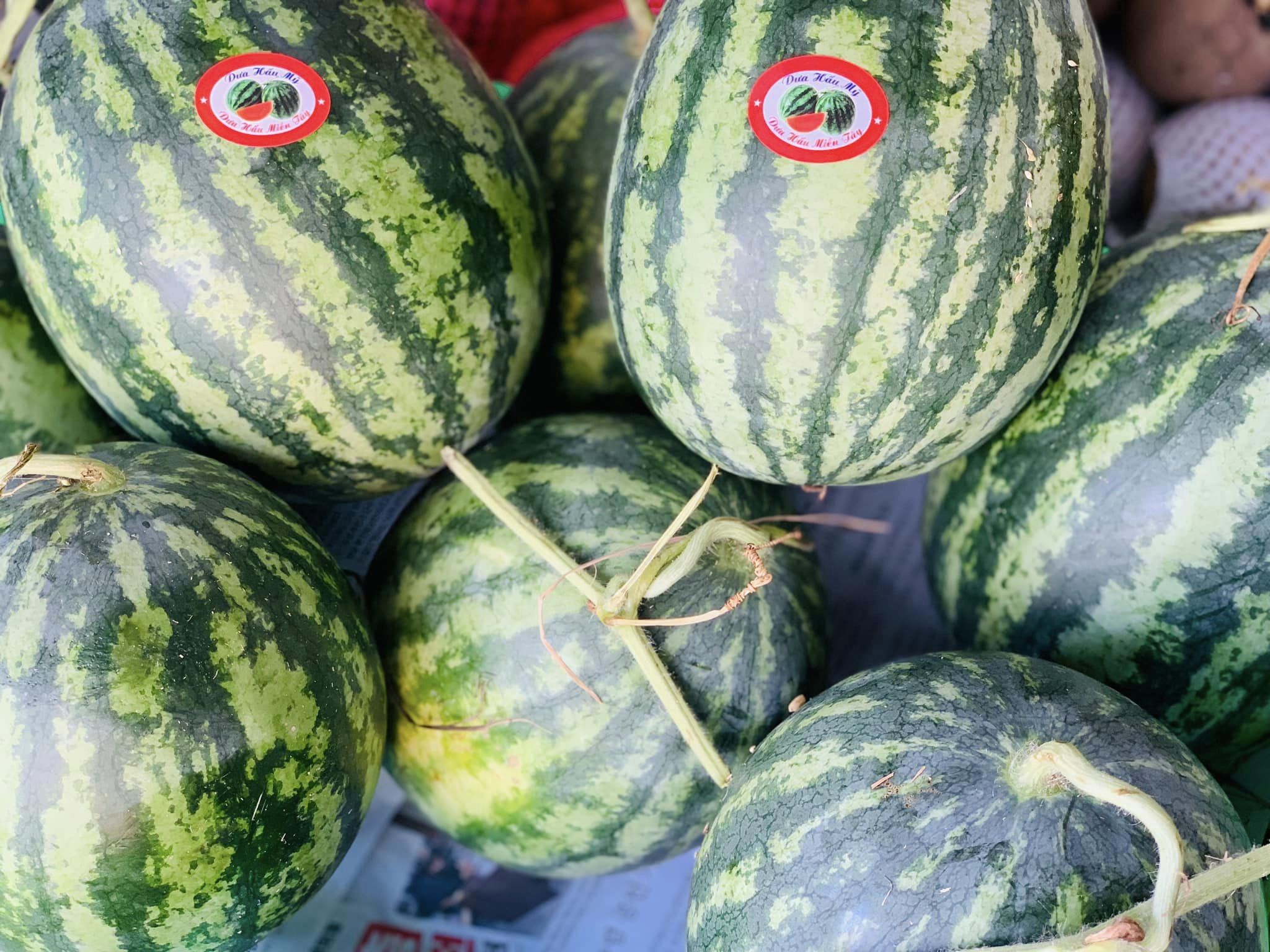 Ảnh của Dưa hấu Sọc Mỹ (kg)