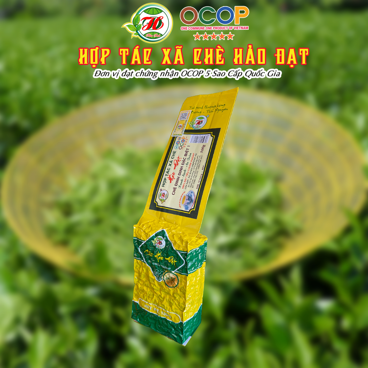 Picture of Chè Tân Cương HẢO ĐẠT đinh đinh đặc biệt 1 (100g)