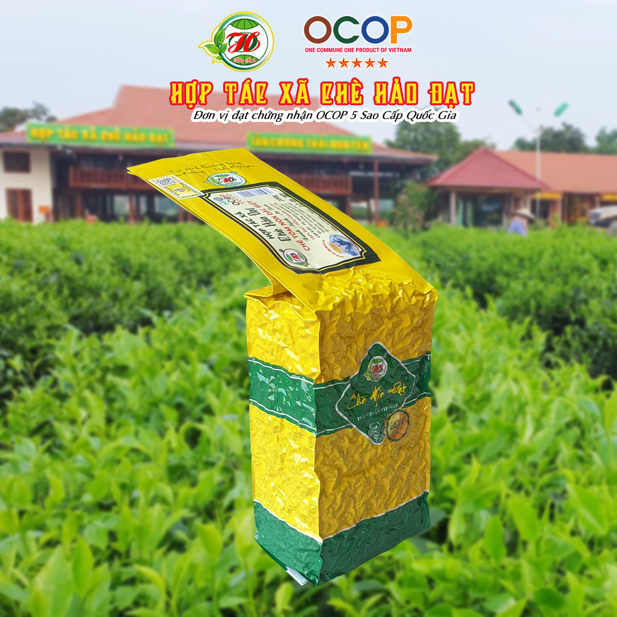 Picture of Chè Tôm nõn đặc biệt (HTX chè HẢO ĐẠT) gói 200g