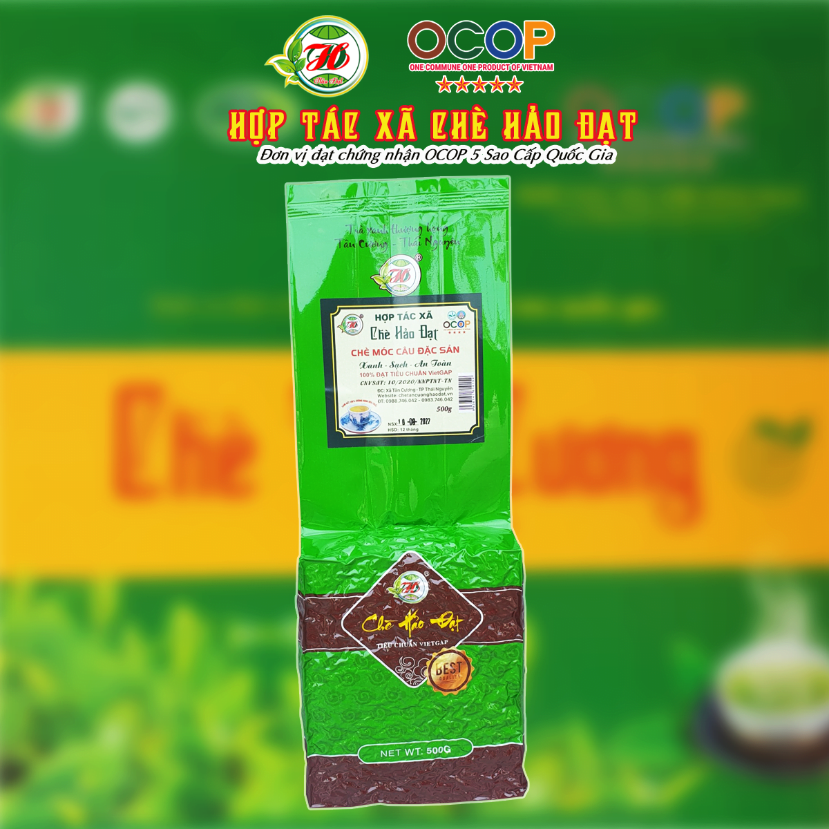 Picture of Chè Tân Cương HẢO ĐẠT móc câu đặc sản (500g)