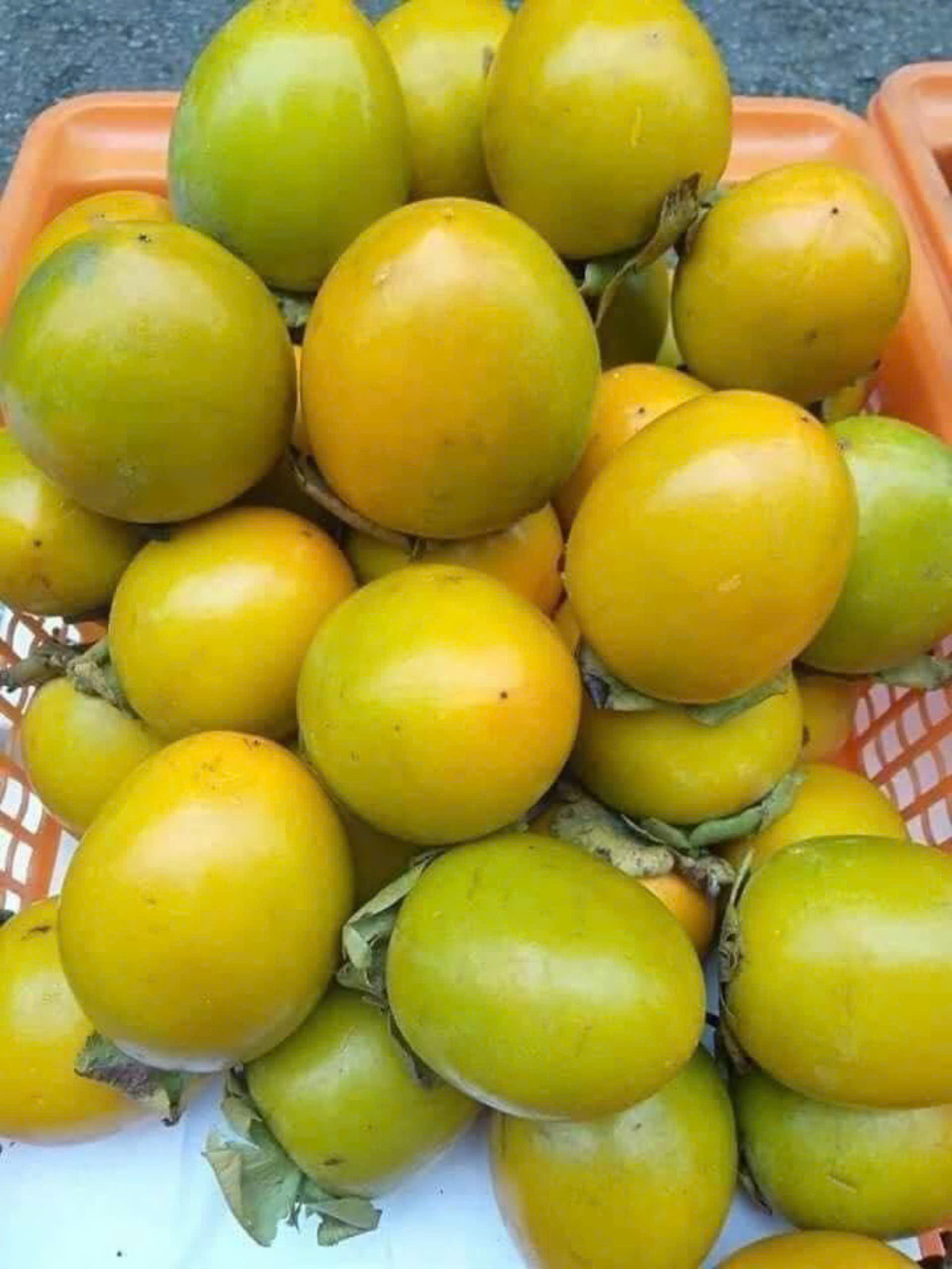 Ảnh của Hồng giòn A Lưới AZaKooh (kg) 