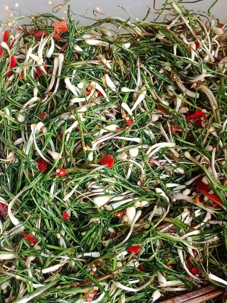 Ảnh của Kiệu trộn ớt AZaKooh (hủ)