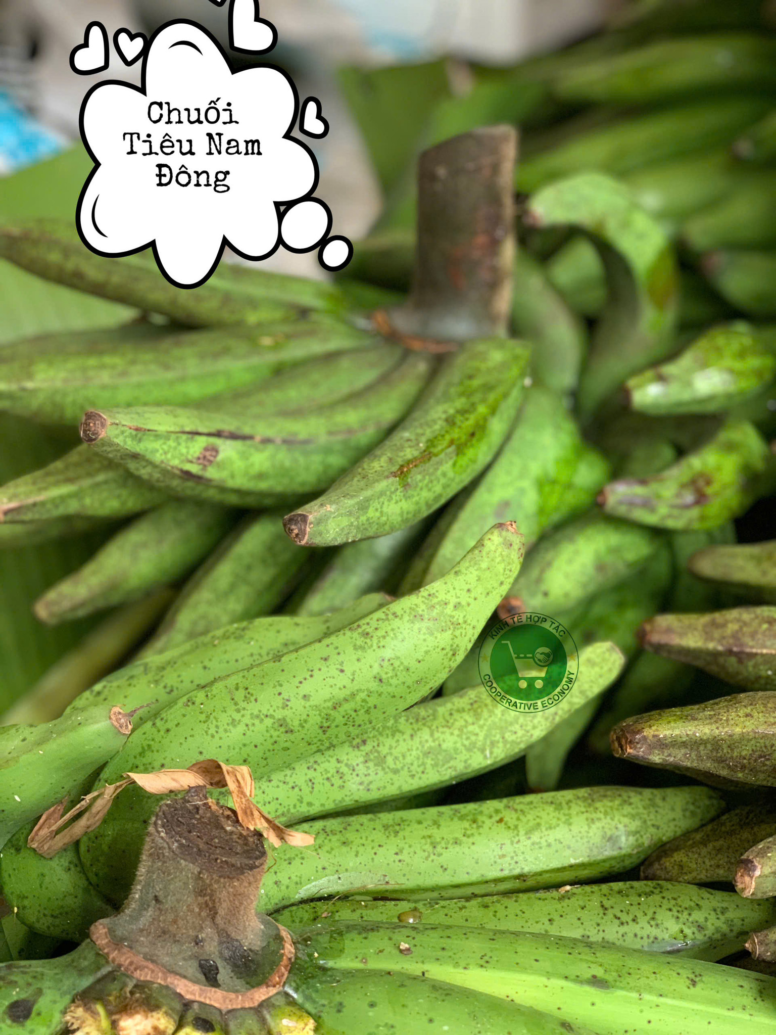 Ảnh của Chuối tiêu Nam Đông (kg)