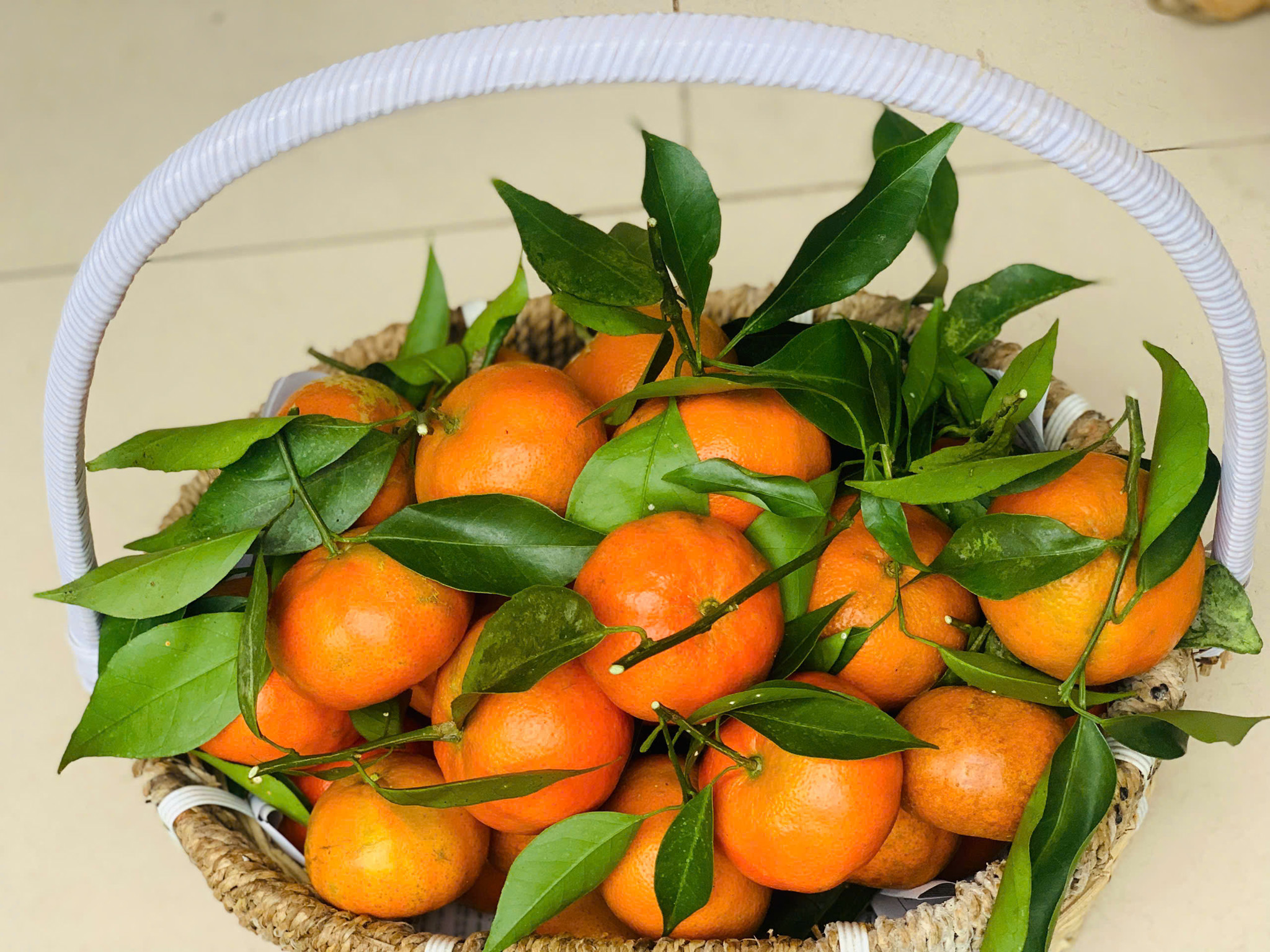 Ảnh của Cam Canh Hà Giang (kg)