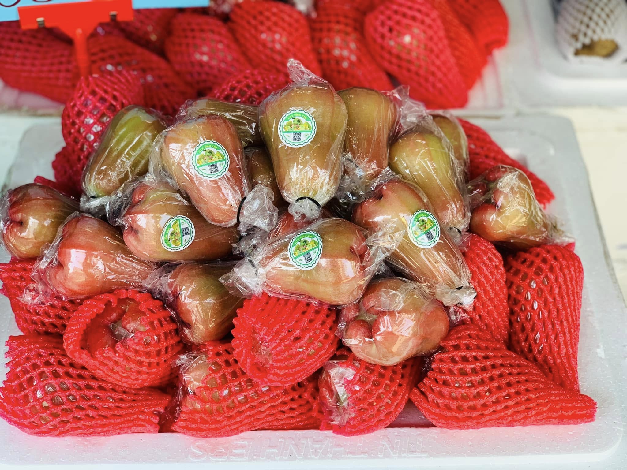 Ảnh của Mận An Phước (kg)