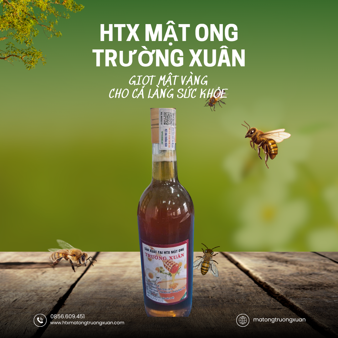 Ảnh của Mật Rừng Trường Xuân – Tinh Hoa Núi Rừng