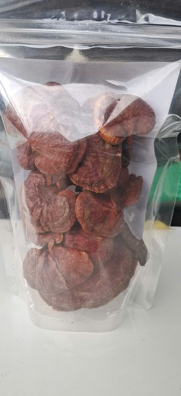 Ảnh của nâm linh chi đỏ