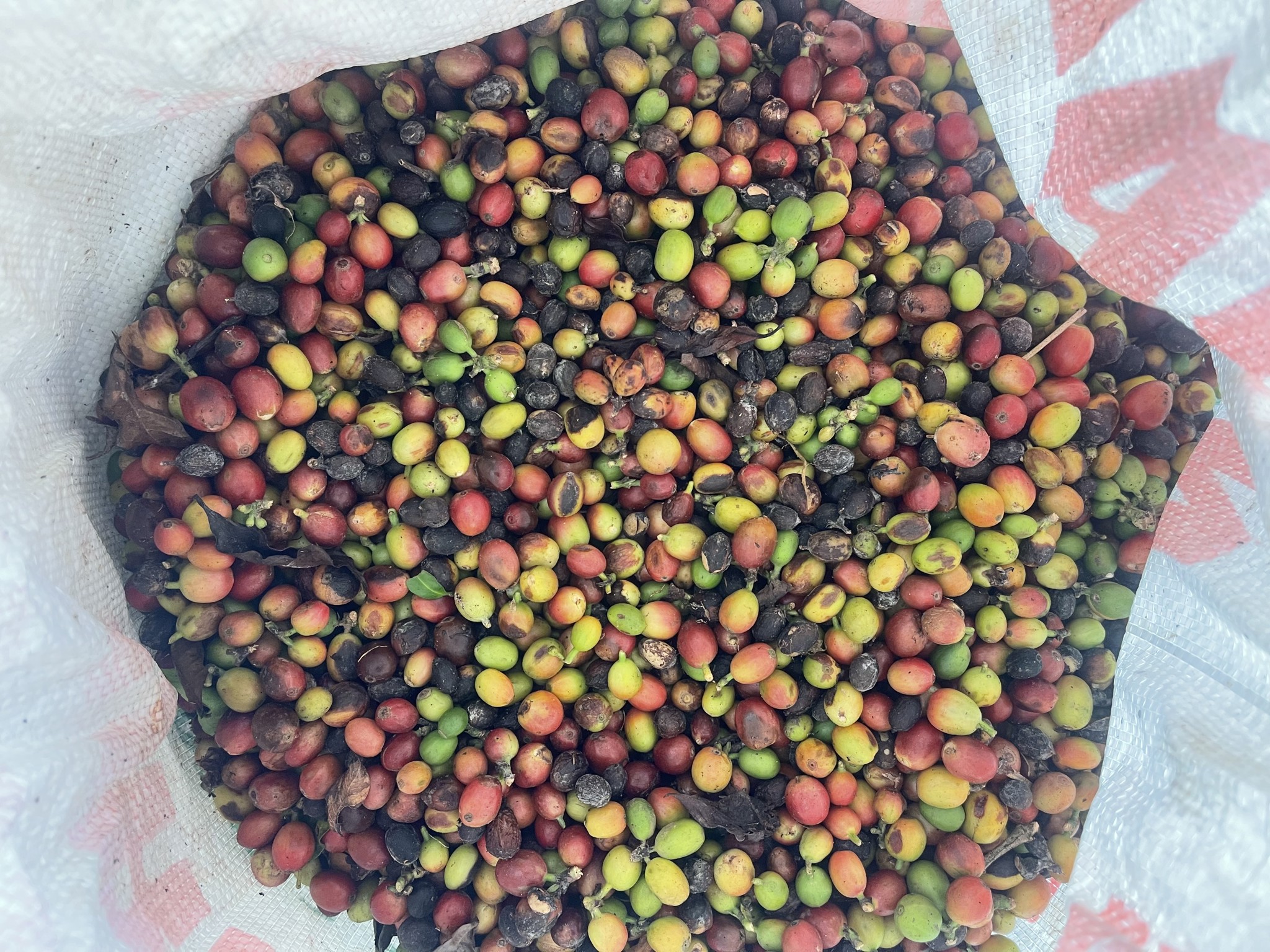 Ảnh của Cà phê Tạ linh sơn